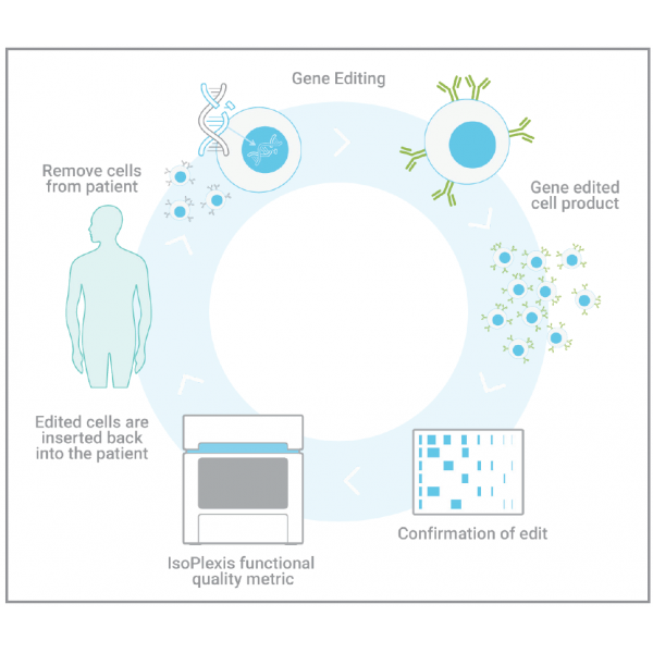 Cell Stem Cell - IsoPlexis 單細胞功能蛋白質(zhì)組學(xué)技術(shù)加速 CRISPR 編輯的iPS-NK 細胞療法